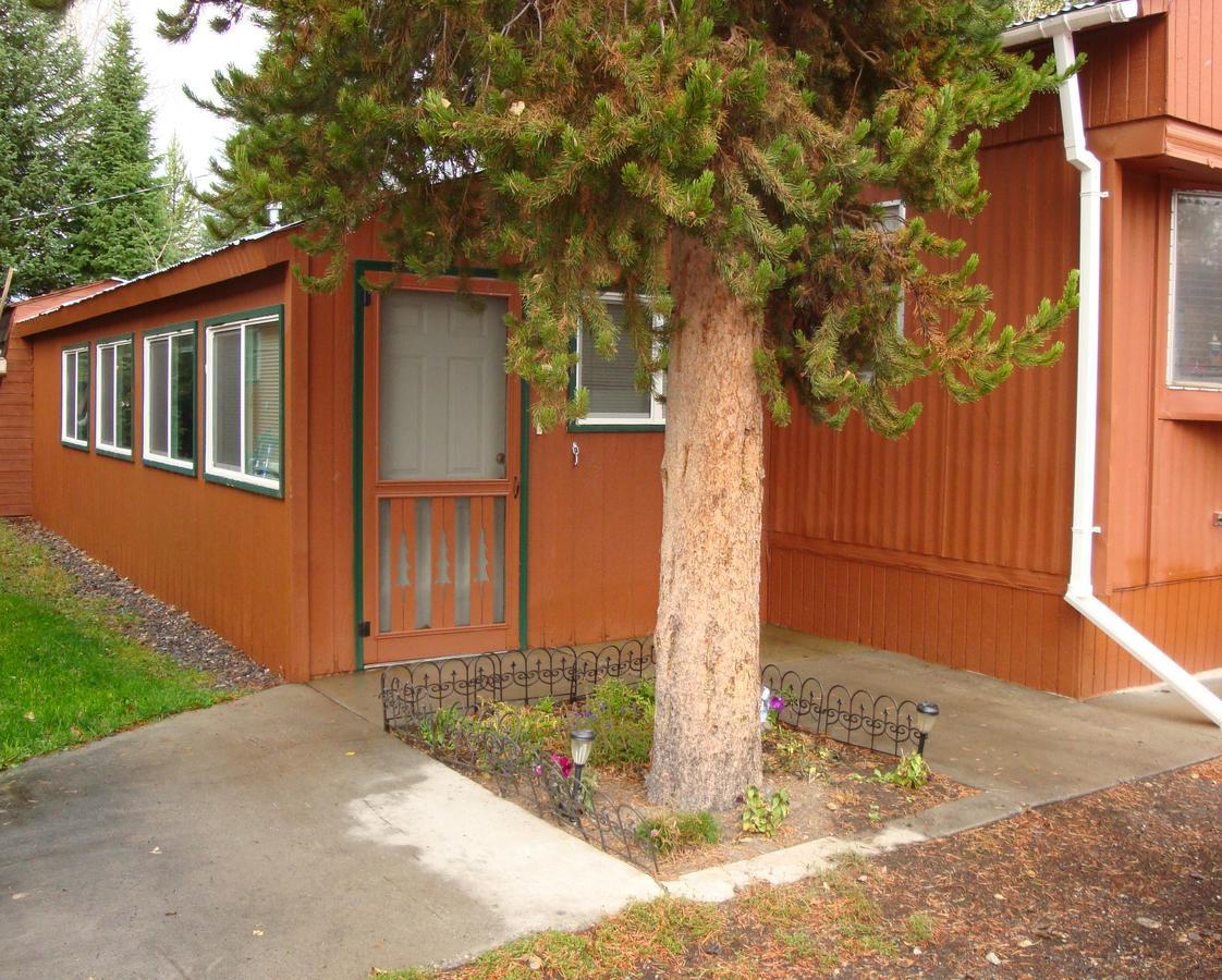 Yellowstone Wildlife Cabins West Yellowstone Buitenkant foto
